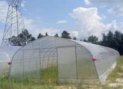 經濟實用單棟薄膜溫室